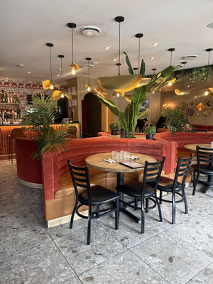 House of Dosas | Davie st