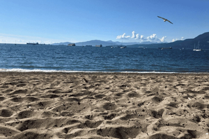Private Führung zu den Stränden von Vancouver – Vom Meer zur Stadt