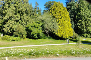 Vancouver biltur: Se alle byens attraksjoner/spar tid og penger