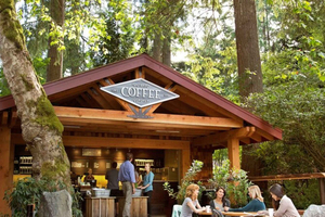 Vancouver Grouse Mountain & Capilano Hängebrücke