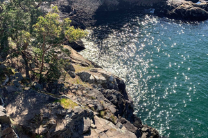 Vancouver: Vandring i Lighthouse Park