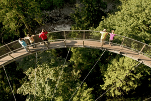 Vancouver: Kleingruppentour mit Mittagessen in Kapilano und Grouse Mtn