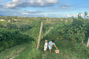 Prosecco: Wine & Food Feast in Family Osteria