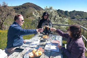 Prosecco Wine Tour. Full Day - 2 Wineries. From Venice