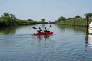 Rent a two-seater kayak in the Venetian Lagoon and along the Sile River