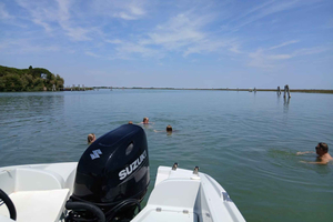 Esperienza di nuoto nella laguna veneziana (tour privato)