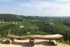 Venice: wine tour tasting along the Unesco Prosecco hills