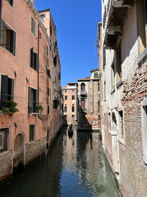 Ca' dell'Arte Palace