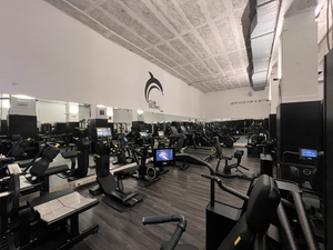 Club Delfino
