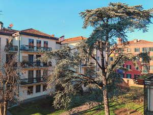 Goldmine Guest House