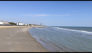 Venice Beaches (SPA)