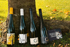 degustazione di Riesling senza confini