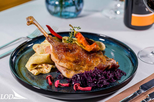 Bratislava: Gourmet Goose Dinner with Cruise on Danube