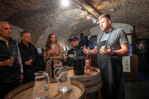 From Vienna - Explore the Tastes of Bratislava on a Day Trip