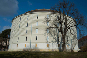 Viena: ticket de entrada a la Colección Patológica de Narrenturm