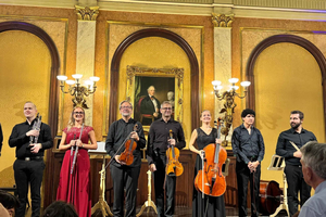 Private Classical Music Tour, Museum Entry & Concert