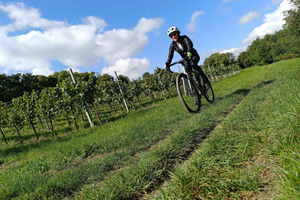 Private Gravel Bike Tour with Castles & Wine