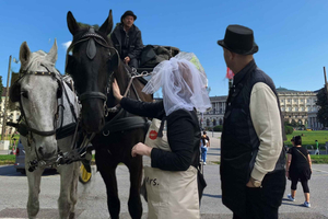 Viena: Tour Privado: Casamento e Matrimônios dos Habsburgos