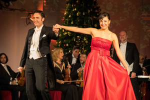 Wenen: kerstmarkt Schönbrunn en klassiek concert