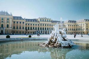 Viena: tour por el mercado de Navidad de Schönbrunn con espectáculo de strudel