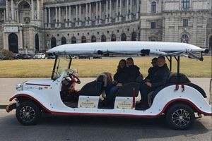 tour panoramico in un'auto d'epoca elettrica a 8 posti