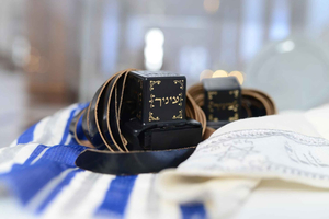 Skip-the-line Jewish Museums & Jewish Quarter Tour in Vienna