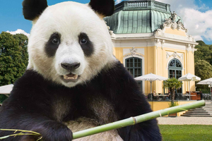 Skip-the-line Tickets for Schönbrunn Zoo
