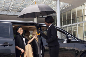 Vienna airport transfer from or to the airport