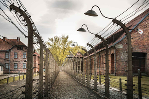 Vienna: Auschwitz Birkenau Full-Day Tour w/ Hotel Transfers