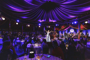Vienna: Johann Strauss Dinner Show at the Prater