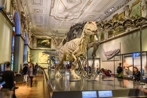 Vienna: Ticket to the Museum of Natural History