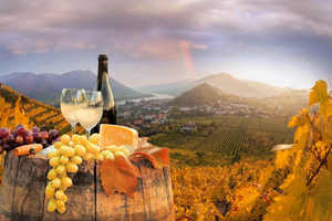 Vienna: Winery and Wine Tasting Tour with a Wine Expert