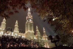 Wien: Tour on the historical trail of the Christmas Tree