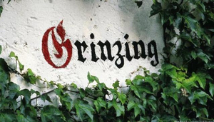 Grinzing - Heurigen, good wine!
