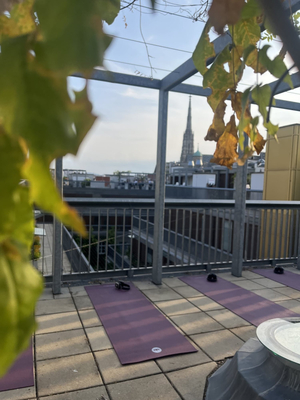 in good shape vienna - movement experiences | classes | corporate wellness