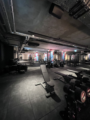 JOHN REED Fitness Wien Schwedenplatz