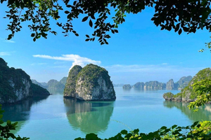 BEST Day Cruise Discover Untouched Beauty of Bai Tu Long Bay