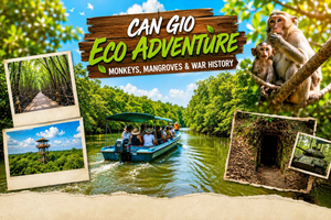 Can Gio Eco Adventure: Monkeys, Mangroves & War History