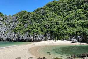 Cat Ba: visita di mezza giornata alla baia di Lan Ha con kayak e nuoto