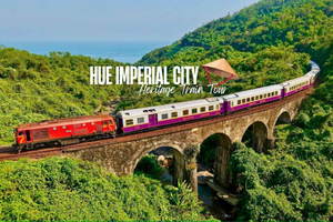 Da Nang: Hue Imperial Tour - Heritage Train via Hai Van Pass
