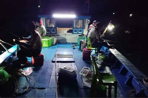 Da Nang: Upplev nattfiske av bläckfisk med en fiskare