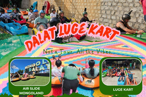 Dalat : Mario Kart - Mongo Land - Petit groupe de campagne
