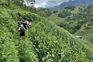 Esplora Sapa con TrekkingAvventure, Montagna, Risaie