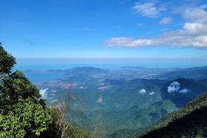 Depuis Da Nang ou Hoi An : Randonnée dans le parc national de Bach Ma et déjeuner