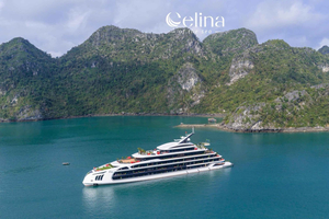 Fra Hanoi: 3D2N luksuskrydstogt i Halong-bugten med privat kabine