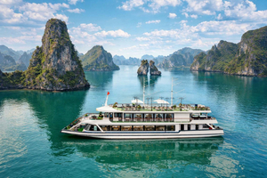 Crucero por la bahía de Ha Long desde Hanói | Kayak, baño y buffet