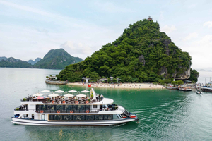 Ha Long Bay: Heldagscruise – buffé, kajakk og Sung Sot-grotten