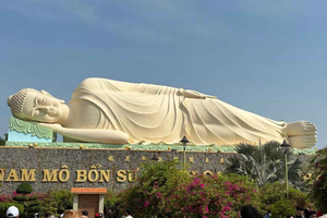 Ho Chi Minh-byen: Tur til Mekongdeltaet med frokost og bådtur
