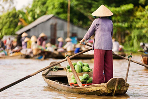 Ho Chi Minhstad Privétour: dagtour Mekong Delta naar Mỹ Tho & Ben Tre