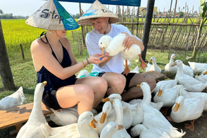 Hoi An Bike Tour: Buffalo Ride & Duck Farm Experience